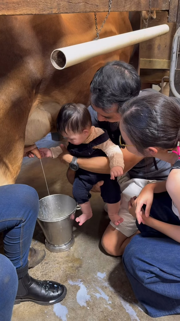 麥明詩仔仔1歲生日首曝順產片段極震撼！IG公開餵人奶真實畫面母愛滿瀉
