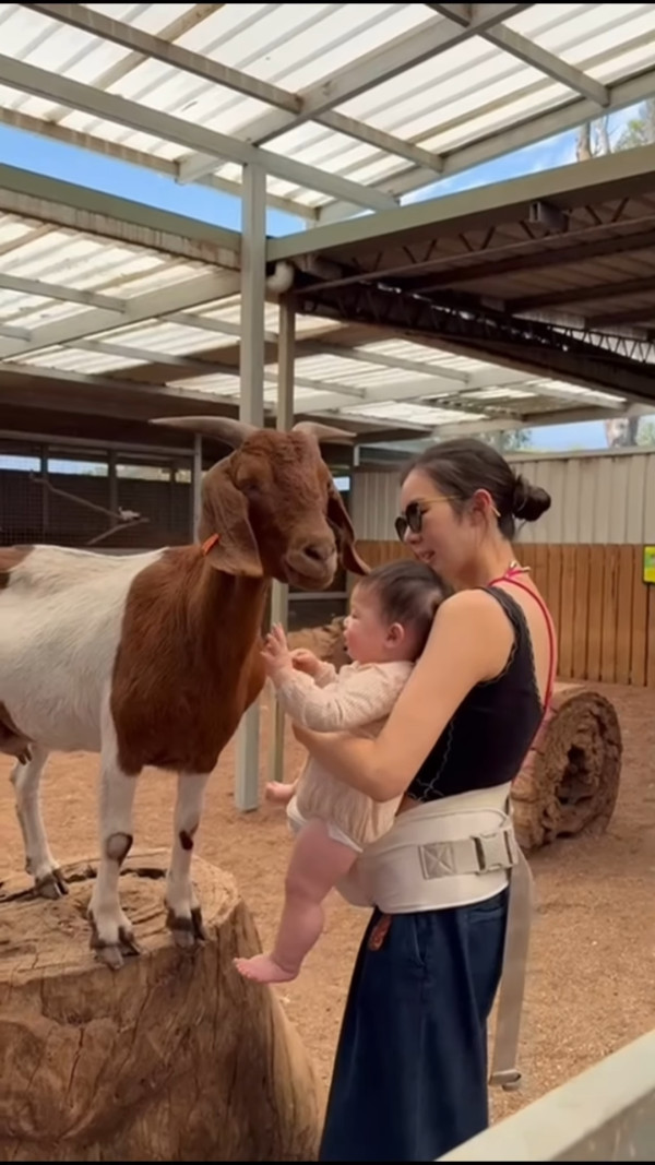麥明詩仔仔1歲生日首曝順產片段極震撼！IG公開餵人奶真實畫面母愛滿瀉