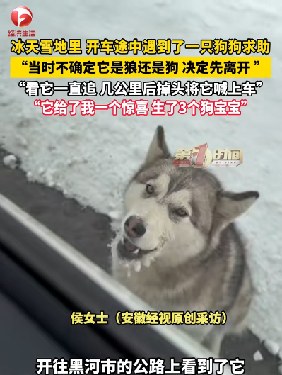 圖片來源：騰訊網 @AHTV第一時間