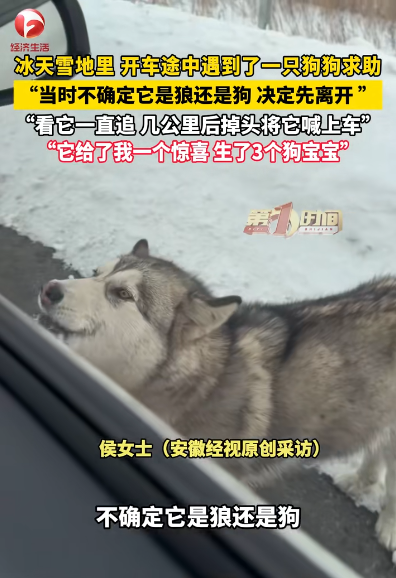 圖片來源：騰訊網 @AHTV第一時間