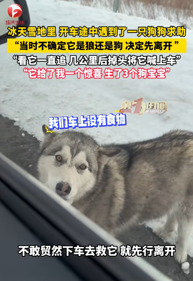 圖片來源：騰訊網 @AHTV第一時間