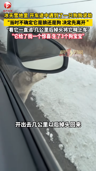 圖片來源：騰訊網 @AHTV第一時間