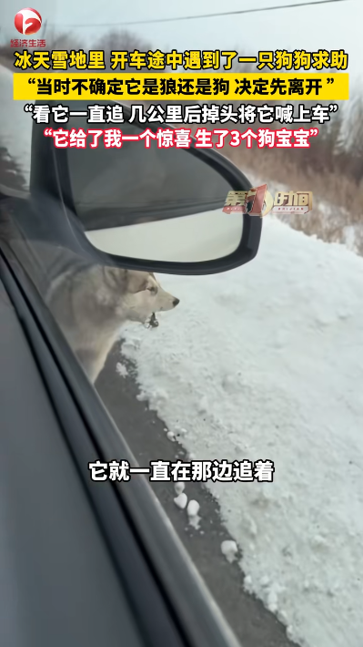 圖片來源：騰訊網 @AHTV第一時間