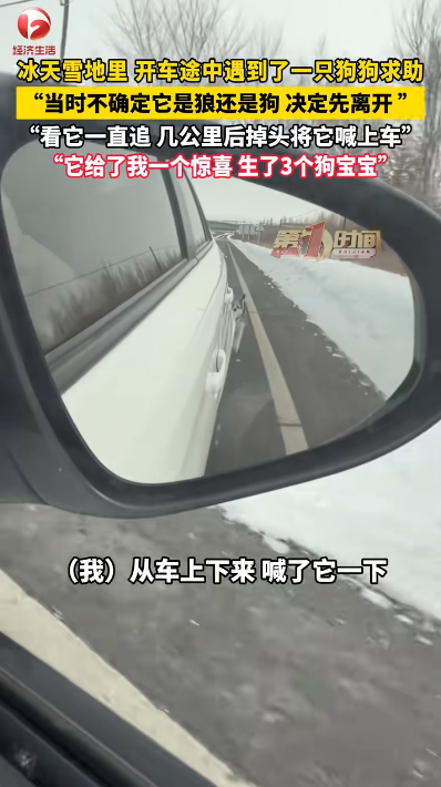 圖片來源：騰訊網 @AHTV第一時間