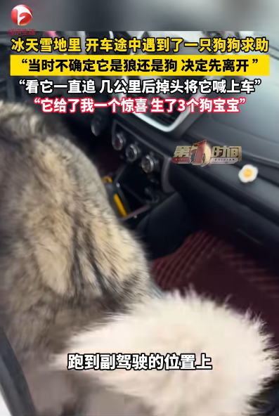 圖片來源：騰訊網 @AHTV第一時間