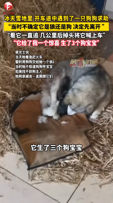 圖片來源：騰訊網 @AHTV第一時間