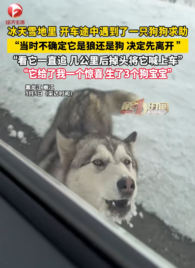 圖片來源：騰訊網 @AHTV第一時間