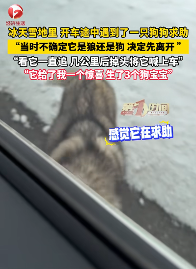 圖片來源：騰訊網 @AHTV第一時間