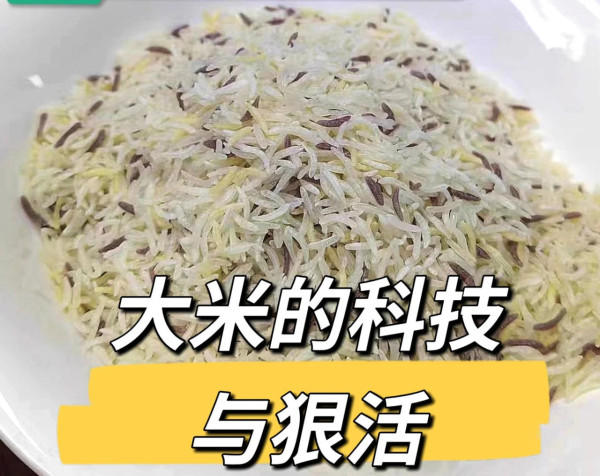 照片來源:小紅書@米三代江江 照片來源:小紅書@米三代江江