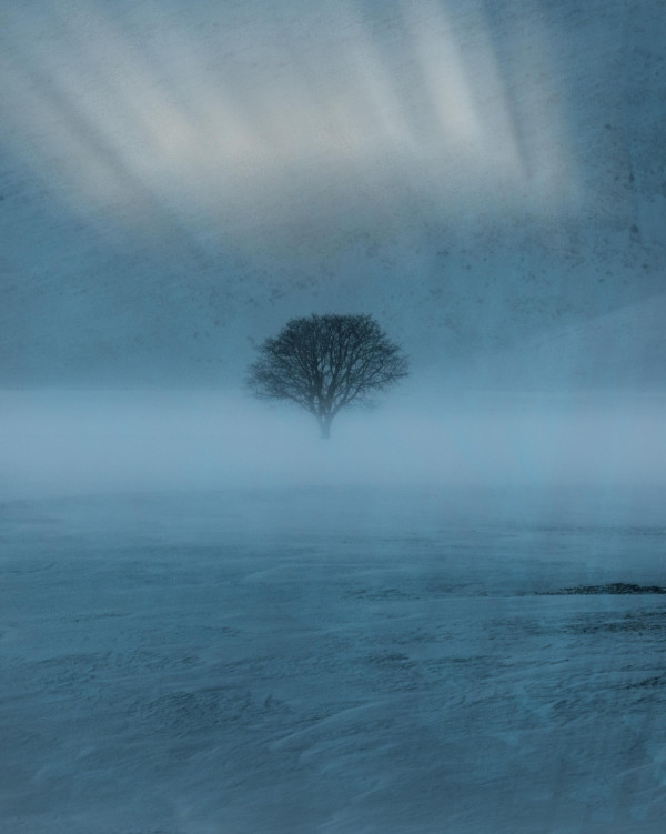 Gemini解夢指令︰發夢俾蛇咬、甩牙代表咩？ 拆解夢境迷思【附15個解夢Prompts】