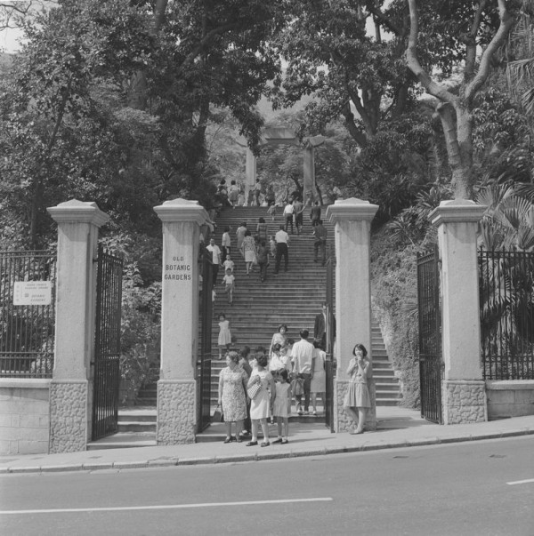 香港動植物公園逾200隻動物！免費睇紅頸袋鼠/樹懶/紅鸛！必睇水瀨餵食訓練 附開放時間+交通方法