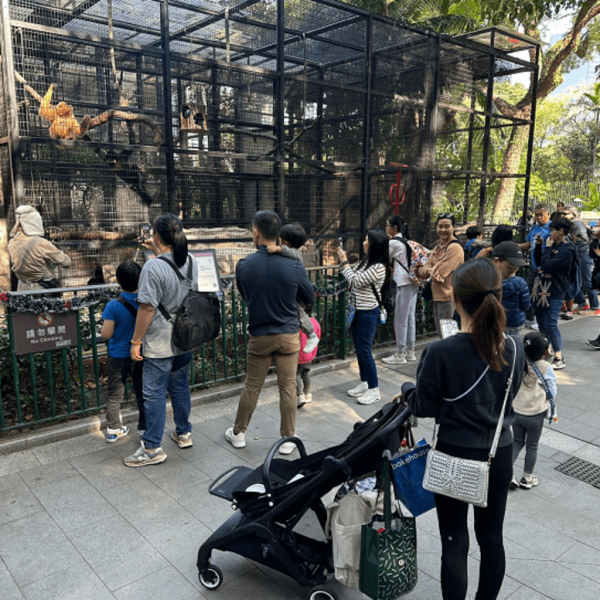 香港動植物公園逾200隻動物！免費睇紅頸袋鼠/樹懶/紅鸛！必睇水瀨餵食訓練 附開放時間+交通方法
