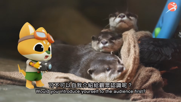 香港動植物公園逾200隻動物！免費睇紅頸袋鼠/樹懶/紅鸛！必睇水瀨餵食訓練 附開放時間+交通方法