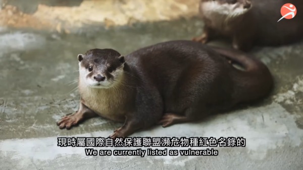 香港動植物公園逾200隻動物！免費睇紅頸袋鼠/樹懶/紅鸛！必睇水瀨餵食訓練 附開放時間+交通方法