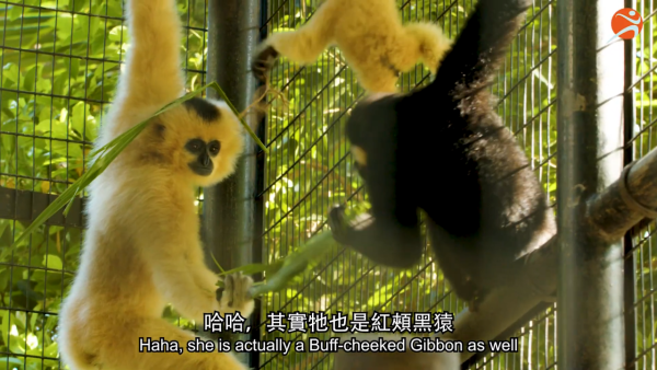 香港動植物公園逾200隻動物！免費睇紅頸袋鼠/樹懶/紅鸛！必睇水瀨餵食訓練 附開放時間+交通方法