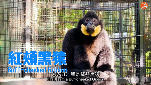 香港動植物公園逾200隻動物！免費睇紅頸袋鼠/樹懶/紅鸛！必睇水瀨餵食訓練 附開放時間+交通方法