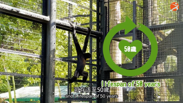 香港動植物公園逾200隻動物！免費睇紅頸袋鼠/樹懶/紅鸛！必睇水瀨餵食訓練 附開放時間+交通方法