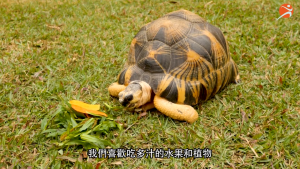 香港動植物公園逾200隻動物！免費睇紅頸袋鼠/樹懶/紅鸛！必睇水瀨餵食訓練 附開放時間+交通方法
