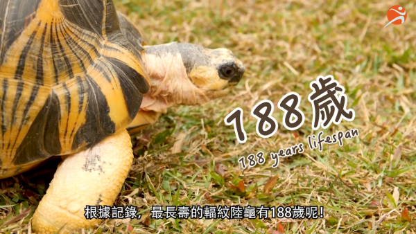 香港動植物公園逾200隻動物！免費睇紅頸袋鼠/樹懶/紅鸛！必睇水瀨餵食訓練 附開放時間+交通方法