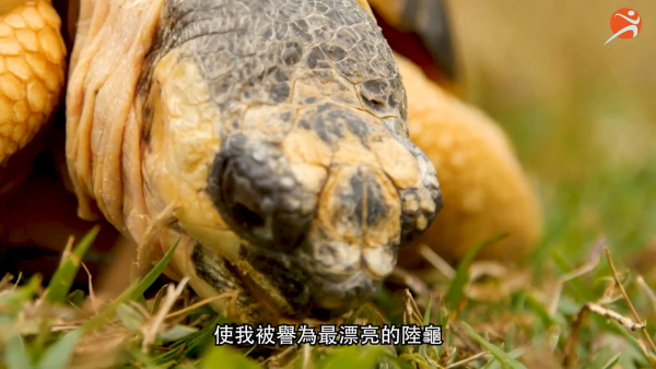 香港動植物公園逾200隻動物！免費睇紅頸袋鼠/樹懶/紅鸛！必睇水瀨餵食訓練 附開放時間+交通方法