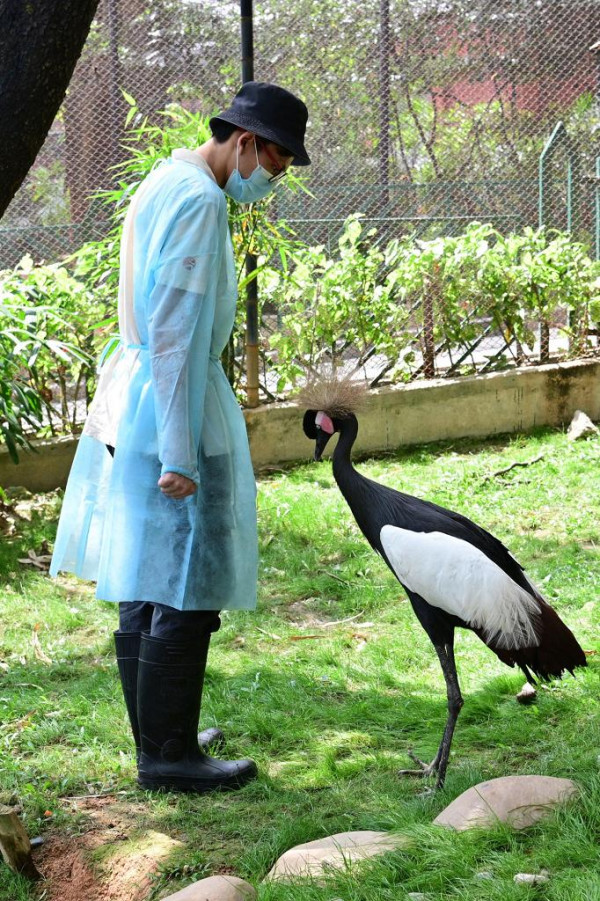 香港動植物公園逾200隻動物！免費睇紅頸袋鼠/樹懶/紅鸛！必睇水瀨餵食訓練 附開放時間+交通方法