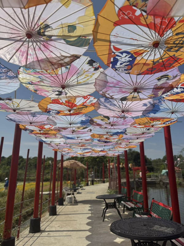 元朗信芯園太陽花現正盛開！入場即送粉紅色香水百合！全新「日系」打卡位登場 附交通方法/入場費