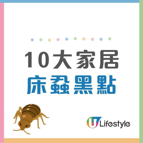 【床蝨滅蝨攻略】屋企有床蝨點算？網傳2大「滅蝨謬誤」分分鐘害全屋 專家教4步防蝨︰檢查紙箱呢個位置是關鍵！