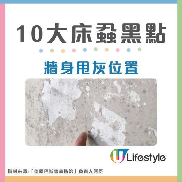【床蝨滅蝨攻略】屋企有床蝨點算？網傳2大「滅蝨謬誤」分分鐘害全屋 專家教4步防蝨︰檢查紙箱呢個位置是關鍵！