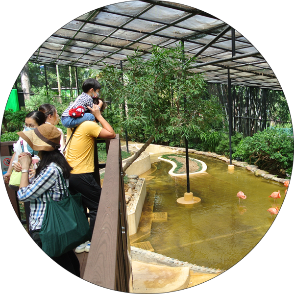 香港動植物公園逾200隻動物！免費睇紅頸袋鼠/樹懶/紅鸛！必睇水瀨餵食訓練 附開放時間+交通方法