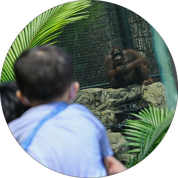 香港動植物公園逾200隻動物！免費睇紅頸袋鼠/樹懶/紅鸛！必睇水瀨餵食訓練 附開放時間+交通方法
