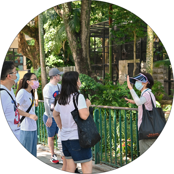 香港動植物公園逾200隻動物！免費睇紅頸袋鼠/樹懶/紅鸛！必睇水瀨餵食訓練 附開放時間+交通方法