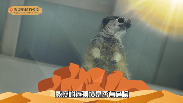 香港動植物公園逾200隻動物！免費睇紅頸袋鼠/樹懶/紅鸛！必睇水瀨餵食訓練 附開放時間+交通方法