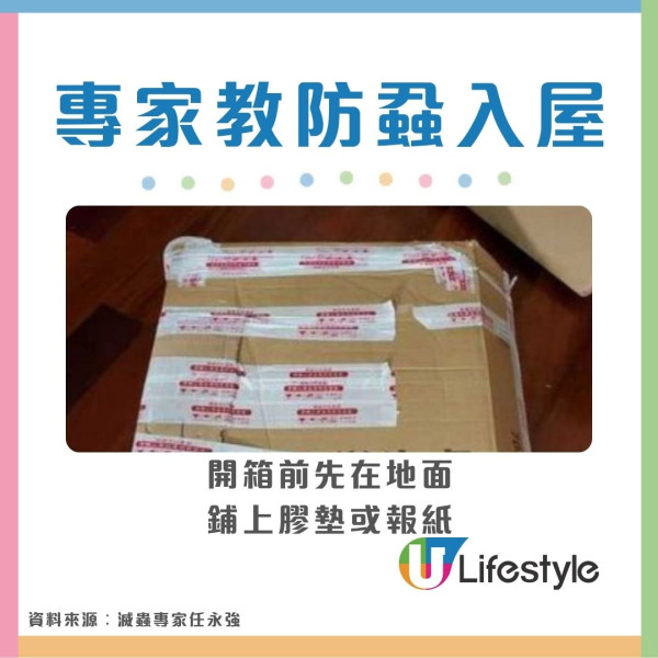 【床蝨滅蝨攻略】屋企有床蝨點算？網傳2大「滅蝨謬誤」分分鐘害全屋 專家教4步防蝨︰檢查紙箱呢個位置是關鍵！