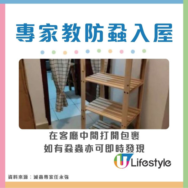 【床蝨滅蝨攻略】屋企有床蝨點算？網傳2大「滅蝨謬誤」分分鐘害全屋 專家教4步防蝨︰檢查紙箱呢個位置是關鍵！