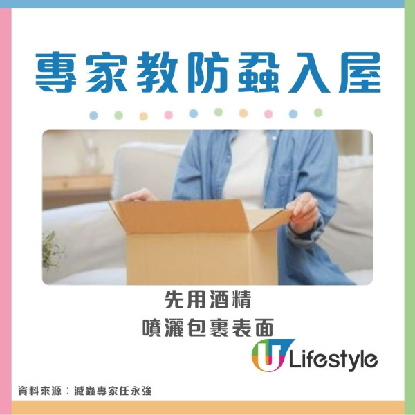 【床蝨滅蝨攻略】屋企有床蝨點算？網傳2大「滅蝨謬誤」分分鐘害全屋 專家教4步防蝨︰檢查紙箱呢個位置是關鍵！