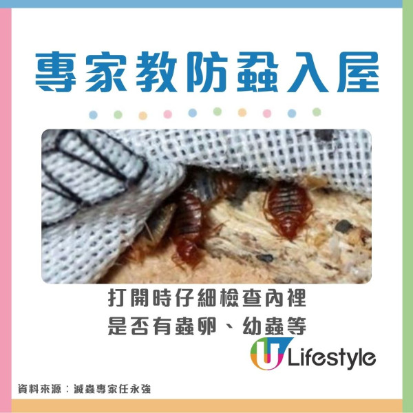 【床蝨滅蝨攻略】屋企有床蝨點算？網傳2大「滅蝨謬誤」分分鐘害全屋 專家教4步防蝨︰檢查紙箱呢個位置是關鍵！