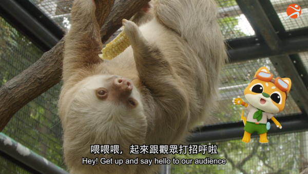 香港動植物公園逾200隻動物！免費睇紅頸袋鼠/樹懶/紅鸛！必睇水瀨餵食訓練 附開放時間+交通方法