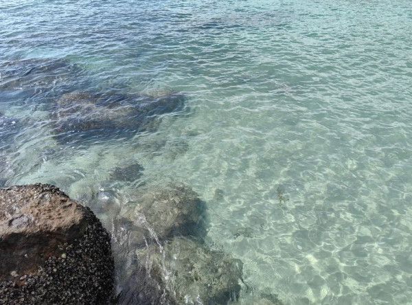 港版天使之路限時浮現！西貢海中沙洲退潮先見到 附交通潮汐表