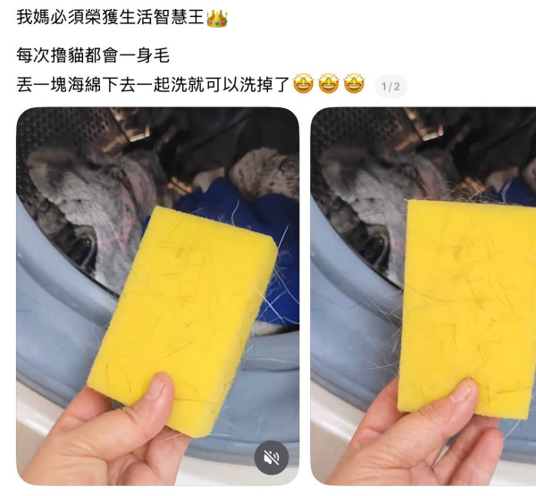 寵物毛髮黐滿衣服？網民教洗衫前放一物有效自動除毛！一招簡單清乾淨 附實測效果