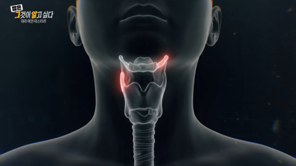 韓國冷血男殺女友製成木乃伊！病態伴屍3年半照吃照睡下場如此 