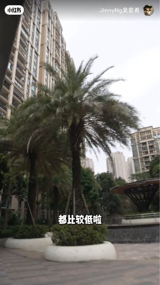 吳若希珠海買樓做業主疑墮買樓陷阱？網民憑一細節質疑︰比中介水咗？