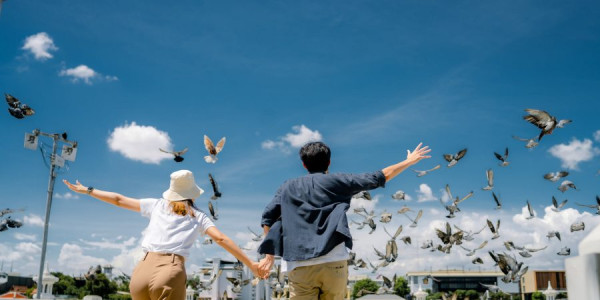 圖片來源：國泰官網