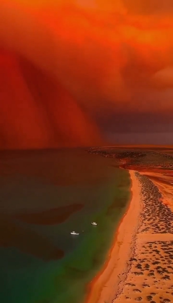 圖片來源:X @Rachel985456360 圖片來源:X @Rachel985456360