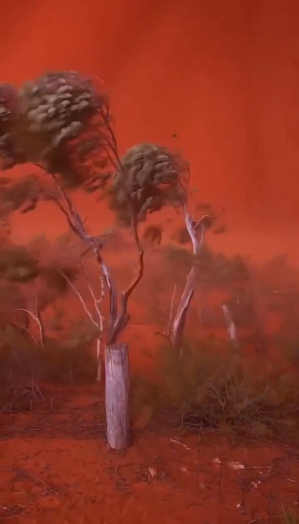 圖片來源:X @Rachel985456360 圖片來源:X @Rachel985456360