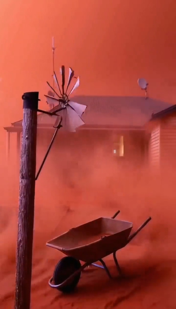 圖片來源:X @Rachel985456360 圖片來源:X @Rachel985456360