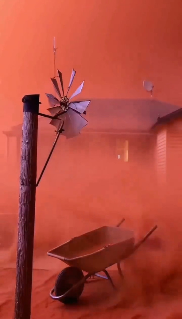 圖片來源:X @Rachel985456360 圖片來源:X @Rachel985456360