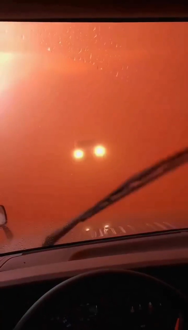 圖片來源:X @Rachel985456360 圖片來源:X @Rachel985456360