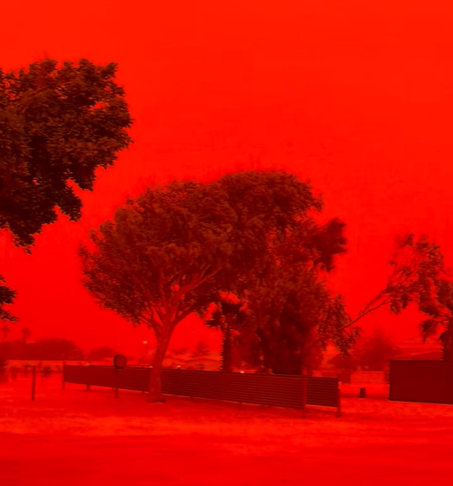 圖片來源:FB @Shark Bay Caravan Park 圖片來源:FB @Shark Bay Caravan Park