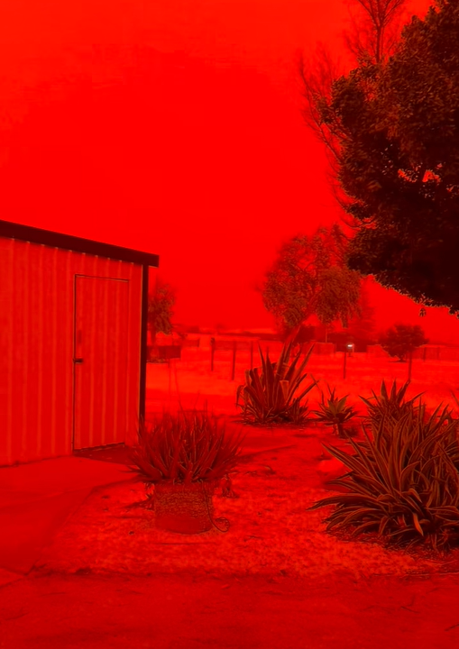 圖片來源:FB @Shark Bay Caravan Park 圖片來源:FB @Shark Bay Caravan Park