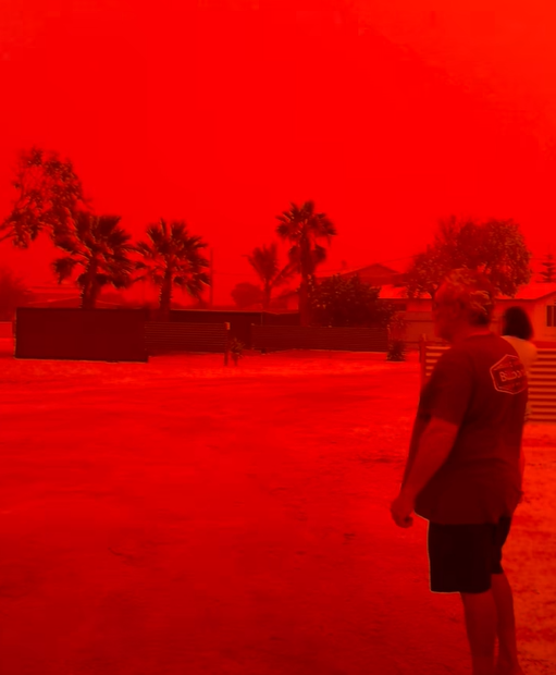 圖片來源:FB @Shark Bay Caravan Park 圖片來源:FB @Shark Bay Caravan Park